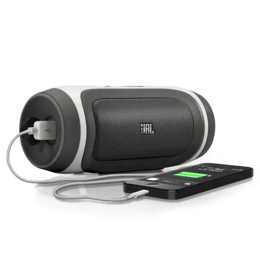 Charging Process for JBL Speaker